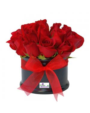 20 Rosas en Caja Elegante 